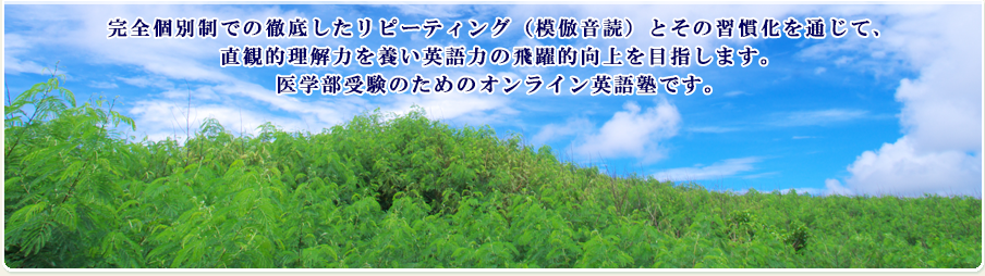 超少人数制での徹底したリピーティング（模倣音読）とその習慣化を通じて、直観的理解力を養い英語力の飛躍的な向上を目指します。大学受験のためのオンライン英語塾です。